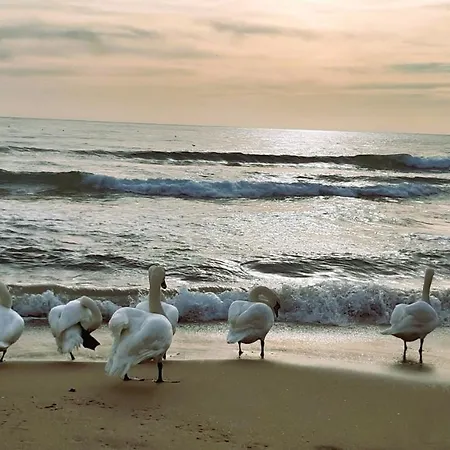 아파트 оазис 2 във