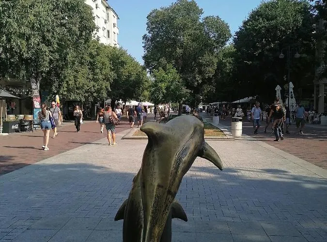 оазис 2 във * Varna