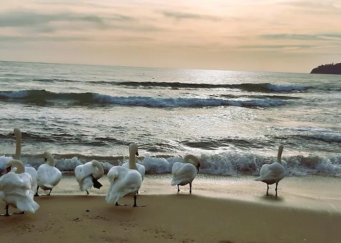 Apartamento оазис 2 във